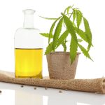 The Getting Started Guide to Selling CBD Hemp Oil