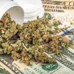 The Kannaway Business Opportunity: How It Works